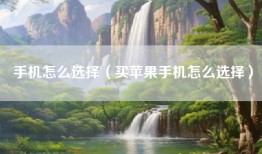 手机怎么选择（买苹果手机怎么选择）