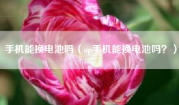 手机能换电池吗（op手机能换电池吗？）