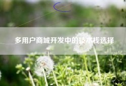 多用户商城开发中的技术栈选择