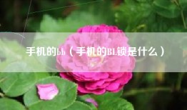 手机的bb（手机的BL锁是什么）
