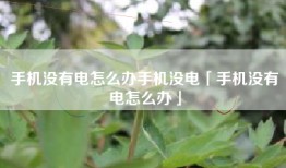 手机没有电怎么办手机没电「手机没有电怎么办」