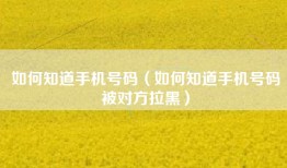 如何知道手机号码（如何知道手机号码被对方拉黑）