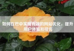 如何在巴中实现有效的网站优化，提升用户体验和排名
