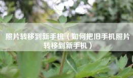 照片转移到新手机（如何把旧手机照片转移到新手机）