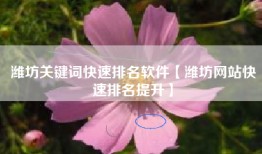 潍坊关键词快速排名软件【潍坊网站快速排名提升】