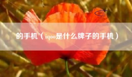 的手机（iqoo是什么牌子的手机）