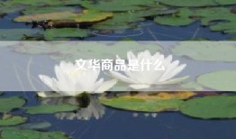 文华商品是什么
