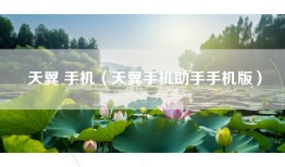 天翼 手机（天翼手机助手手机版）