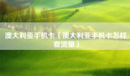 澳大利亚手机卡（澳大利亚手机卡怎样查流量）