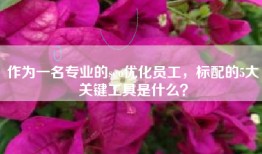 作为一名专业的seo优化员工，标配的5大关键工具是什么？