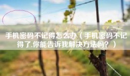 手机密码不记得怎么办（手机密码不记得了,你能告诉我解决方法吗？）