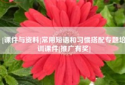 [课件与资料]常用短语和习惯搭配专题培训课件[推广有奖]