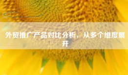 外贸推广产品对比分析，从多个维度展开