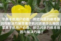 苹果手机用户必看：微信闪退的根本原因与解决方案苹果手机闪退是什么原因「苹果手机用户必看：微信闪退的根本原因与解决方案」