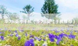 华为6英寸手机（华为6英寸手机推荐）