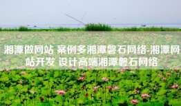 湘潭做网站 案例多湘潭磐石网络-湘潭网站开发 设计高端湘潭磐石网络