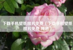 下载手机壁纸图片免费（下载手机壁纸图片免费 纯色）
