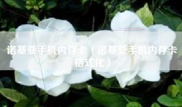 诺基亚手机内存卡（诺基亚手机内存卡格式化）