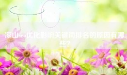 凉山seo优化影响关键词排名的原因有哪些？