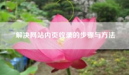 解决网站内页收录的步骤与方法