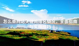 怎么查网站关键词排名情况，全面指南与实用技巧