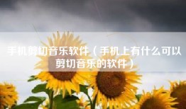 手机剪切音乐软件（手机上有什么可以剪切音乐的软件）