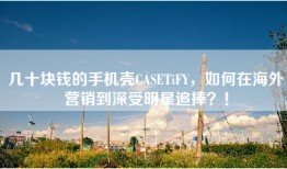 几十块钱的手机壳CASETiFY，如何在海外营销到深受明星追捧？！