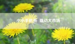 小小手机壳  撬动大市场