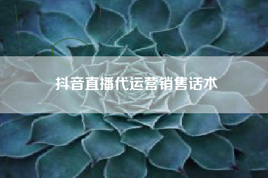 抖音直播代运营销售话术