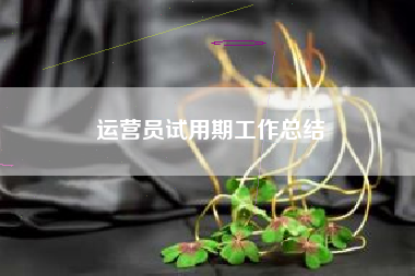 运营员试用期工作总结