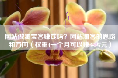 网站做淘宝客赚钱吗？网站淘客的思路和方向（权重4一个月可以赚3-5W元）