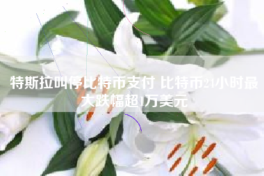 特斯拉叫停比特币支付 比特币24小时最大跌幅超1万美元