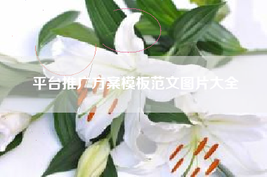平台推广方案模板范文图片大全