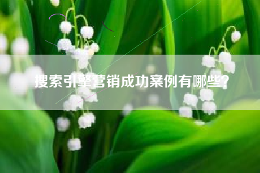搜索引擎营销成功案例有哪些？