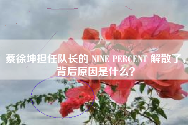 蔡徐坤担任队长的 NINE PERCENT 解散了，背后原因是什么？