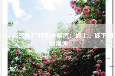 App运营推广的三大渠道：线上、线下和新媒体