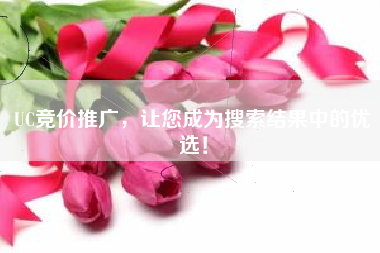 UC竞价推广，让您成为搜索结果中的优选！
