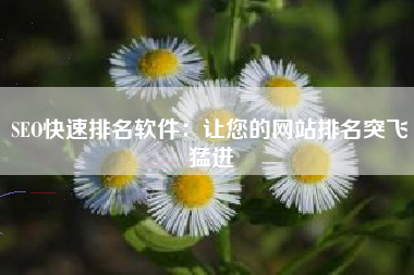 SEO快速排名软件：让您的网站排名突飞猛进