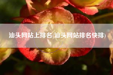汕头网站上排名(汕头网站排名快排)