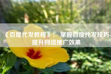 《百度代发教程》： 掌握百度代发技巧-提升网络推广效果