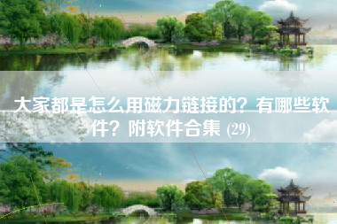 大家都是怎么用磁力链接的？有哪些软件？附软件合集 (29)