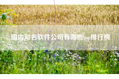 国内知名软件公司有哪些top排行榜