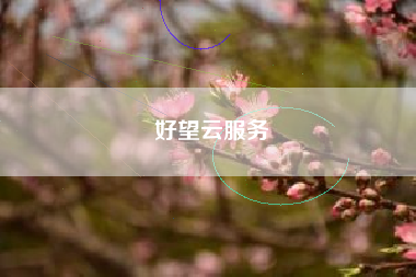 好望云服务