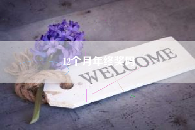 12个月年终奖吗