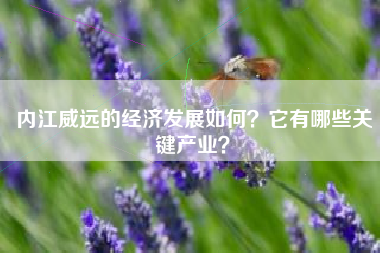 内江威远的经济发展如何？它有哪些关键产业？