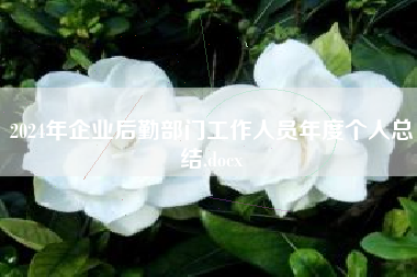2024年企业后勤部门工作人员年度个人总结.docx