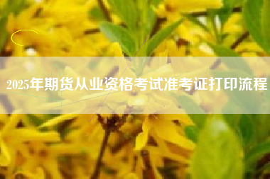 2025年期货从业资格考试准考证打印流程