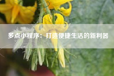 多点小程序：打造便捷生活的新利器