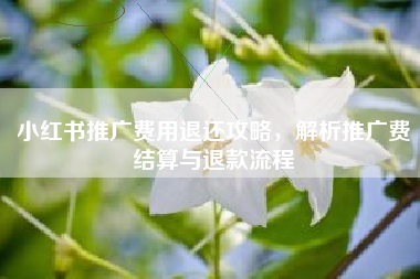 小红书推广费用退还攻略，解析推广费结算与退款流程