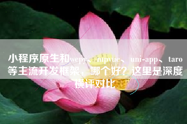 小程序原生和wepy、mpvue、uni-app、taro等主流开发框架，哪个好？这里是深度横评对比